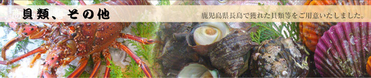 商品一覧「鹿児島県長島で獲れた貝類等をご用意いたしました」